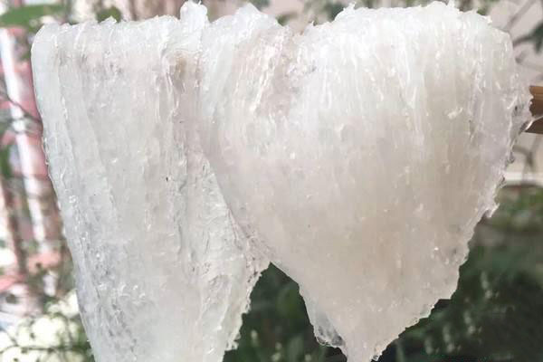 Hướng dẫn ngâm tổ yến để chế biến vào mùa đông