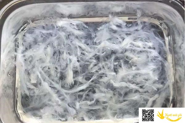 Tổ yến sau khi ngâm