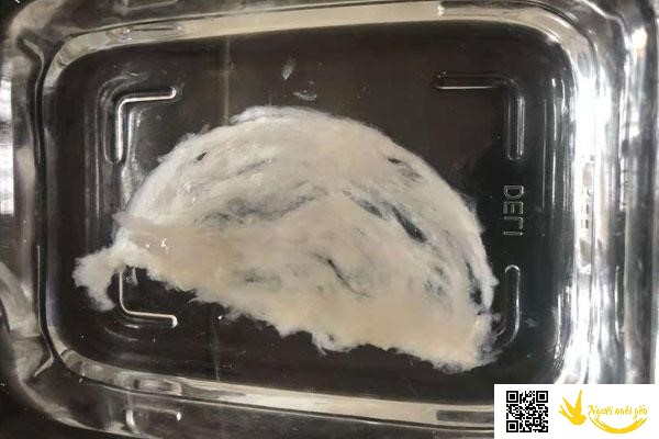 Tổ yến khi ngâm