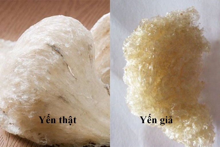 Phân biệt tổ yến thật giả